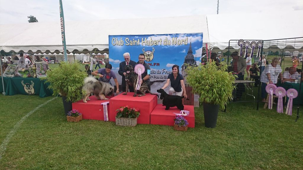 Los Nobles Del Norte - Trophée Benoît Thévenon - CACS Lillers 04/08/19