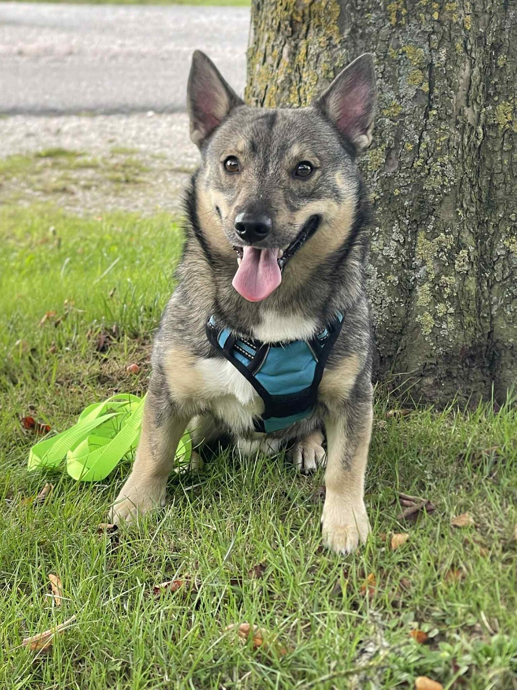 Valhalla Los Nobles Del Norte