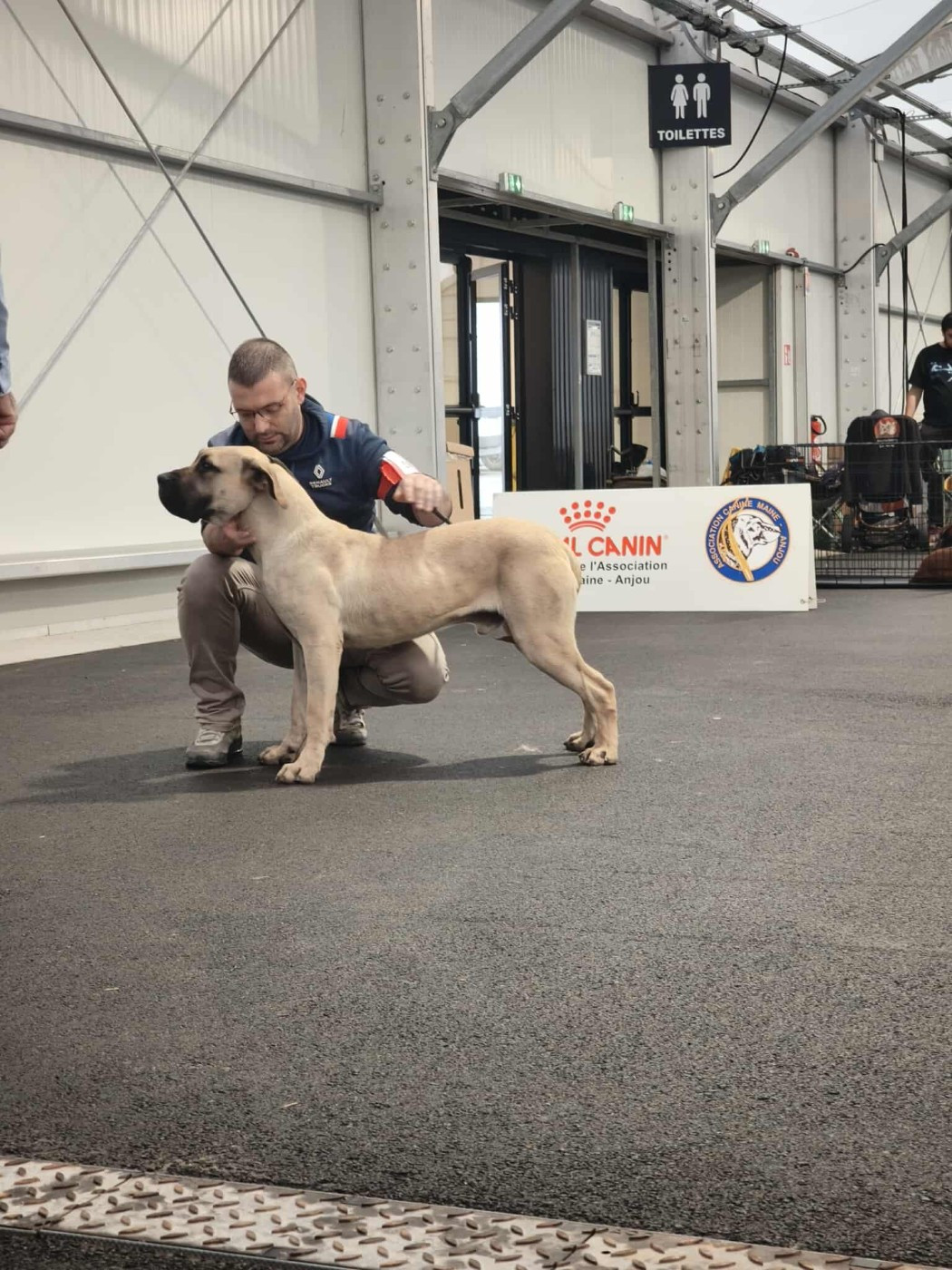 Voodoo Los Nobles Del Norte