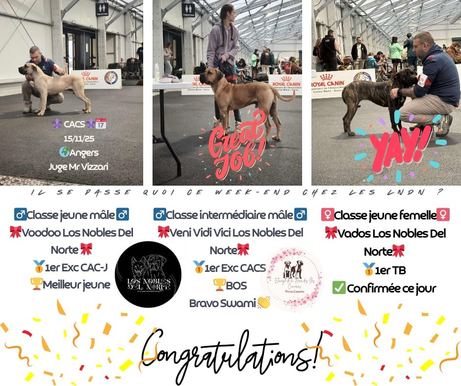 Les V sont de sortie