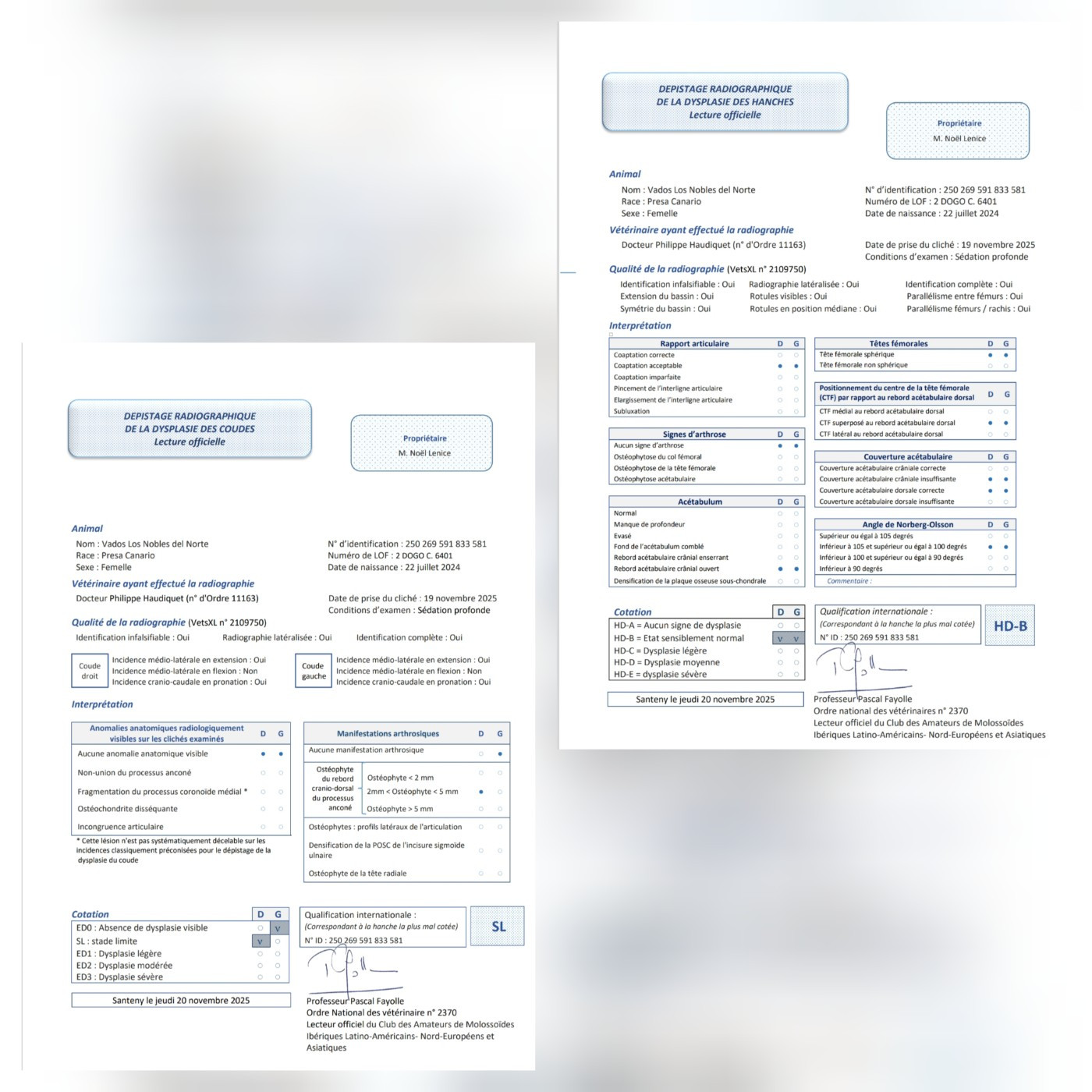 Feu vert pour la pouponnière !!!