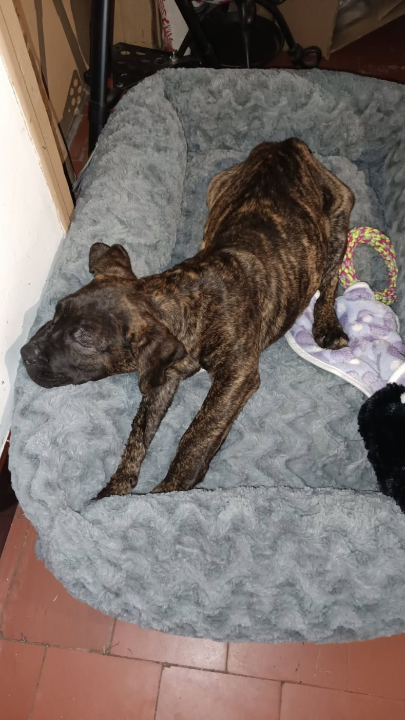 Le Dernier 2025 a dit 'OUI' ! Place aux Projets 2026 !