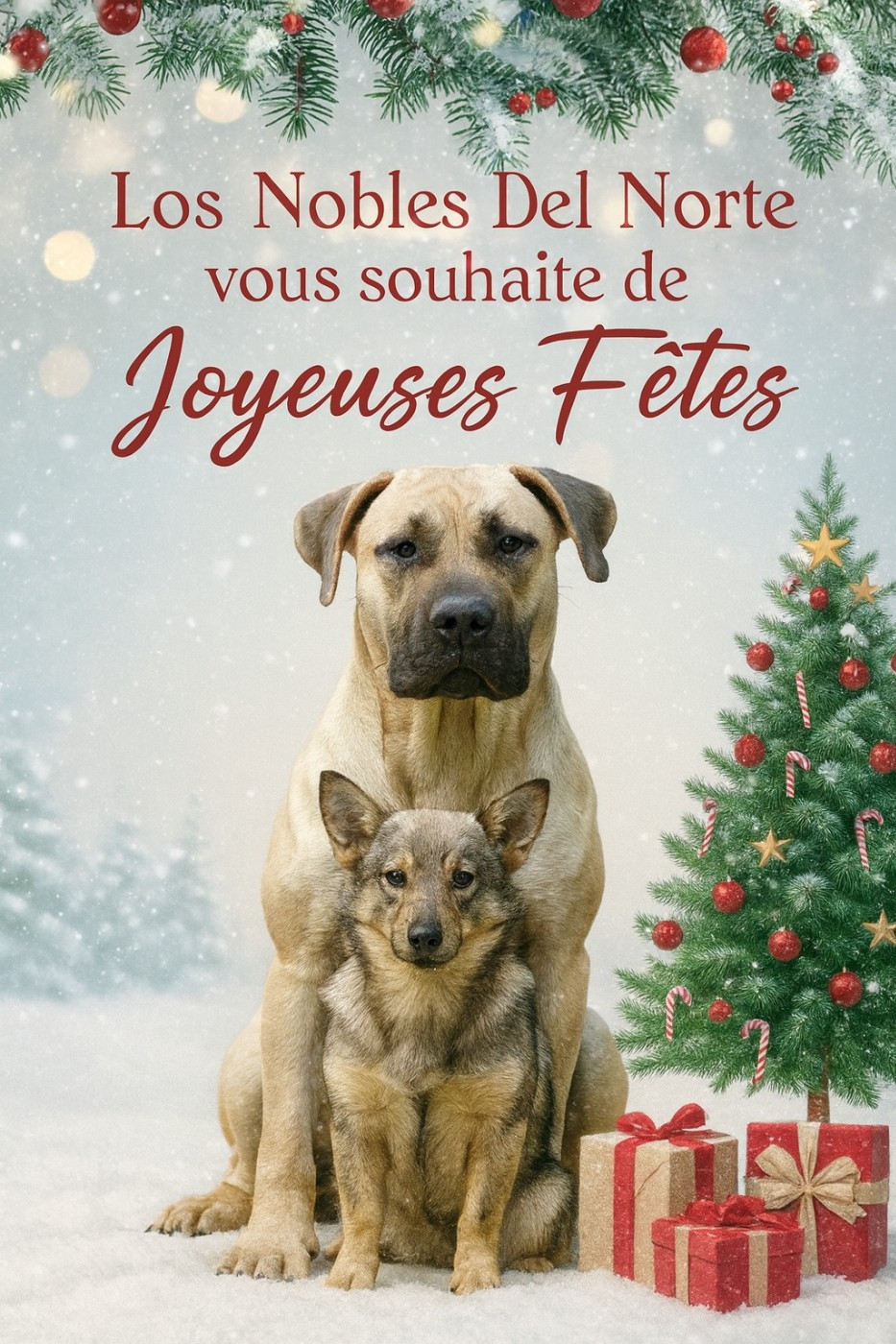 Joyeuses Fêtes !!!