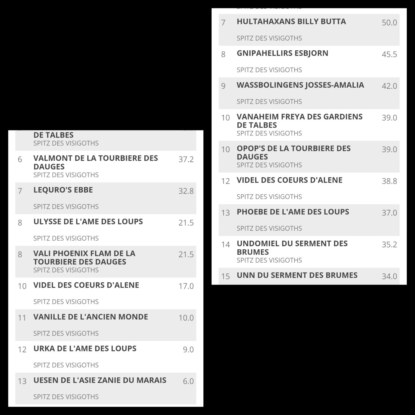 🐾 Videl : La Chronique d'une Ascension (et d'un Coeur à Prendre)