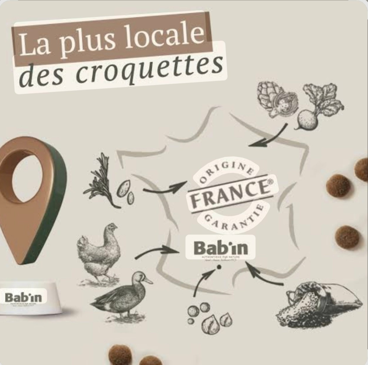 📣 Nouvelle alimentation 📣