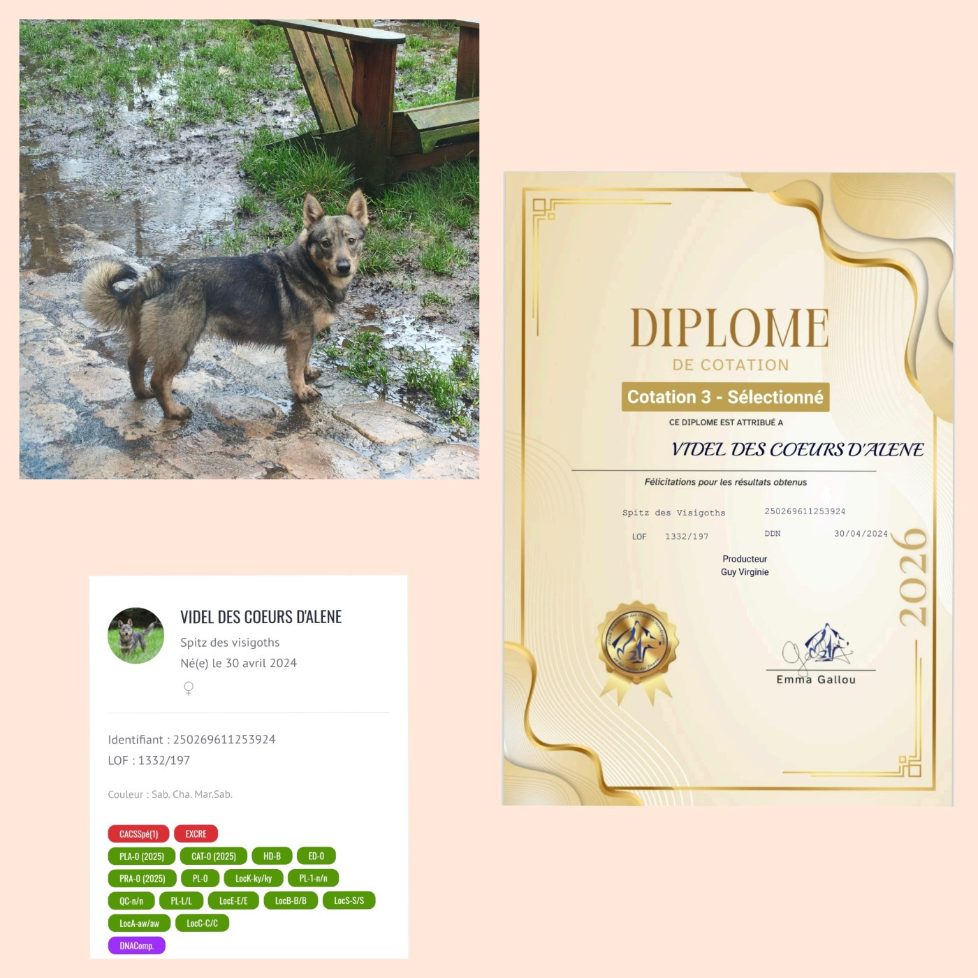 🚨 Bonne nouvelle du jour 🚨