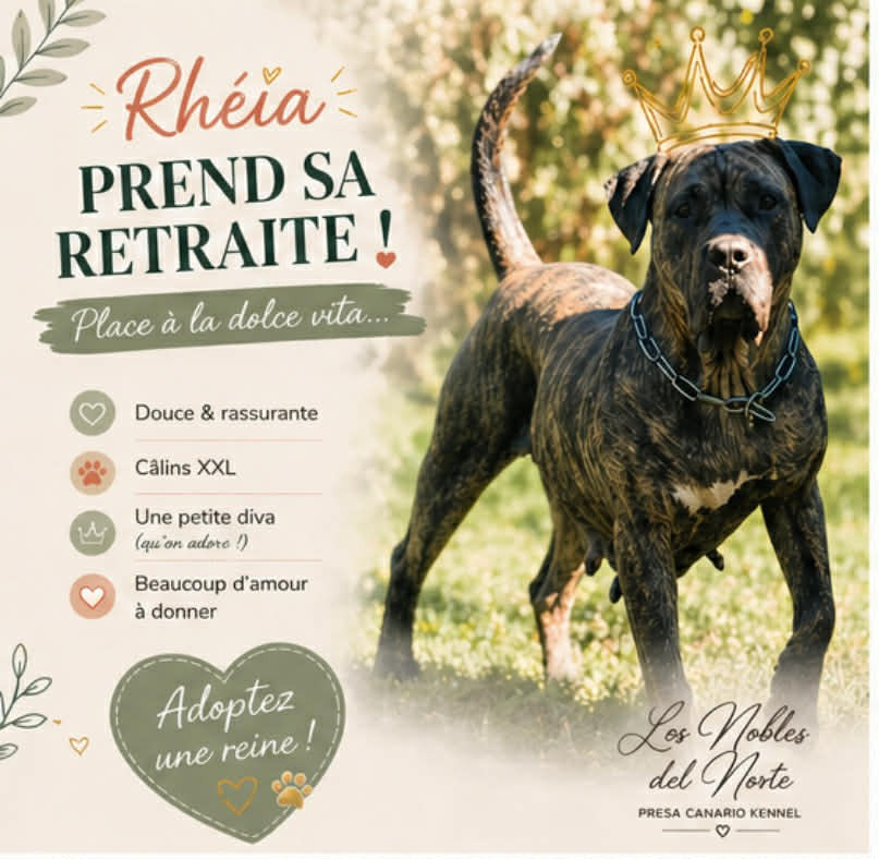 Un trône douillet pour la Reine