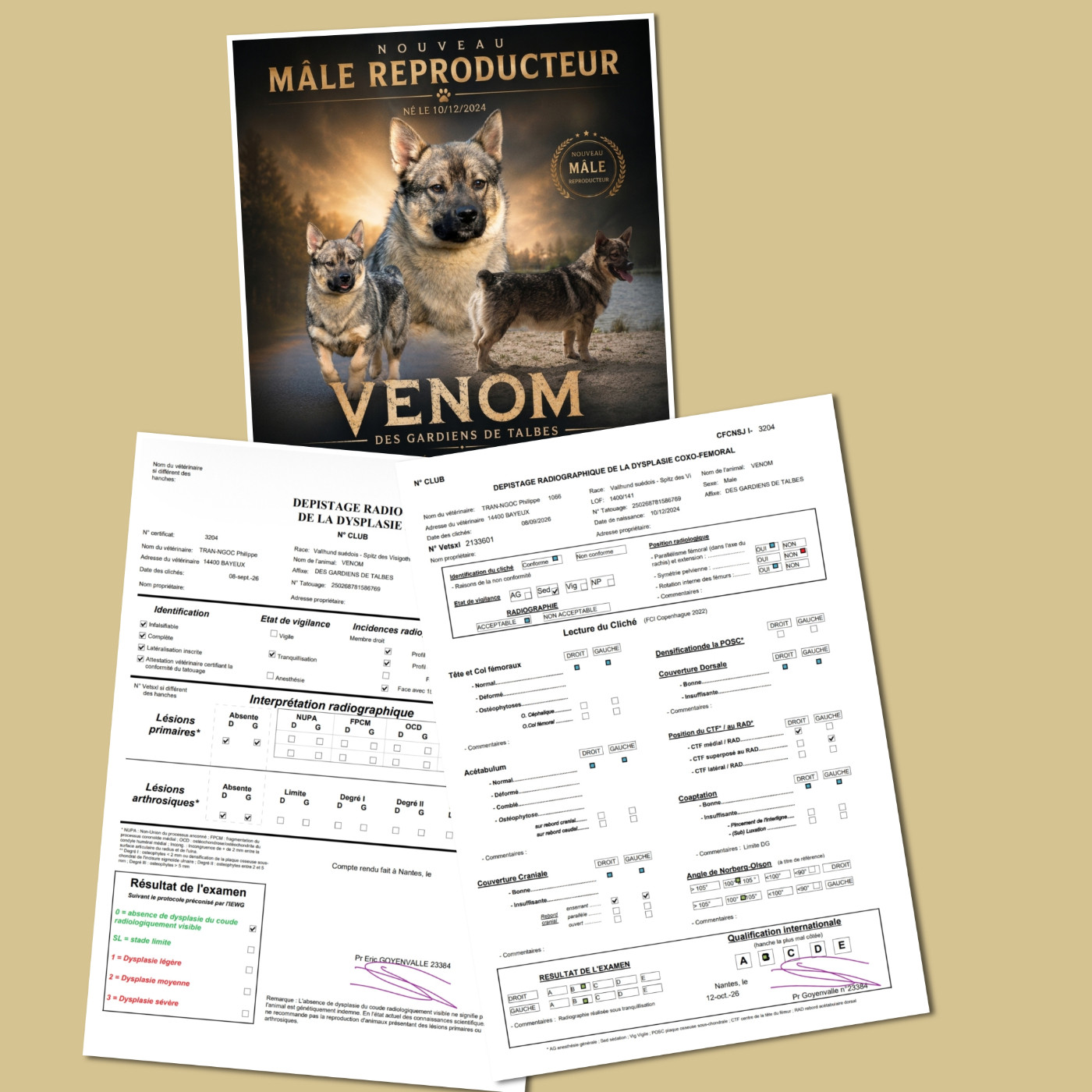 Les résultats de santé de Venom sont là !