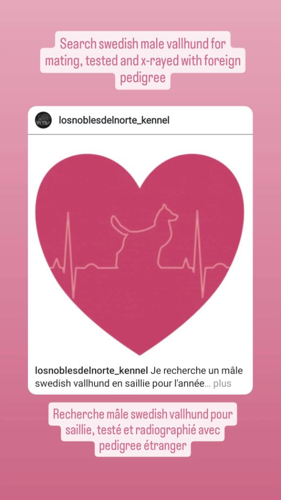 Recherche mâle pour saillie 