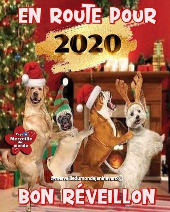 Los Nobles Del Norte - 2020 l'aventure continue