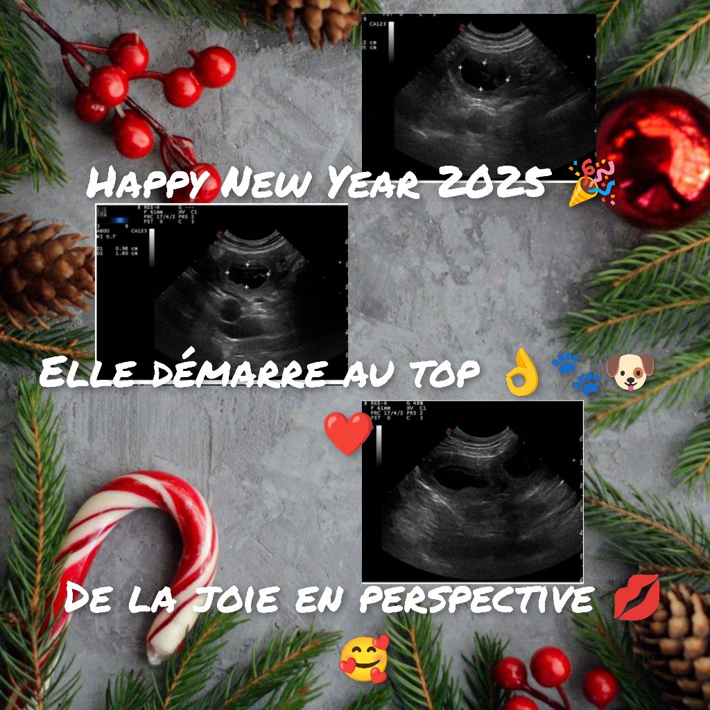 Los Nobles Del Norte - Bonne année !!!!