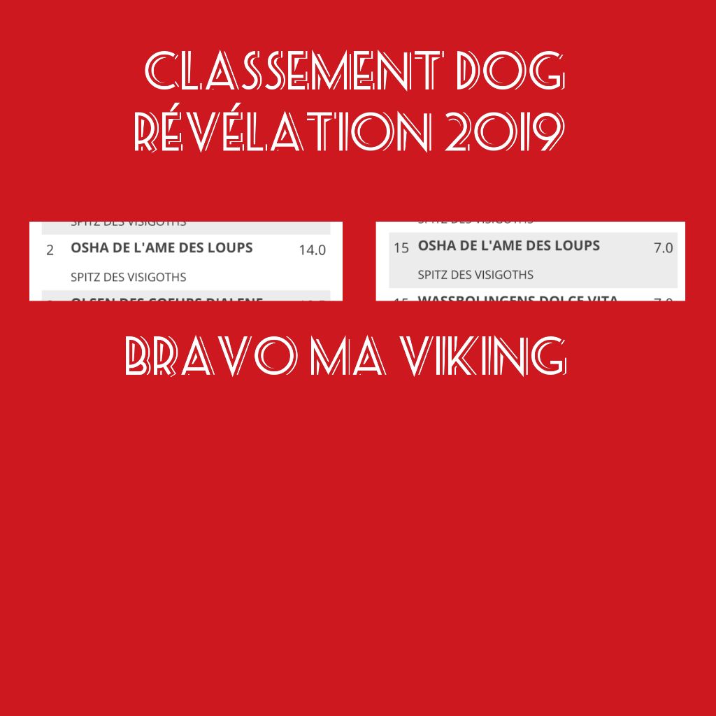 Los Nobles Del Norte - Classement Dog Révélation 2019