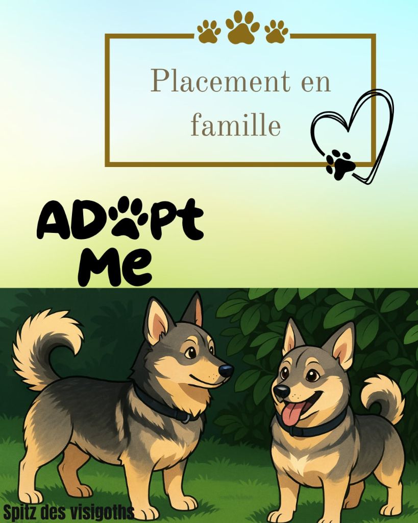 Recherche canapé pour vie paisible 